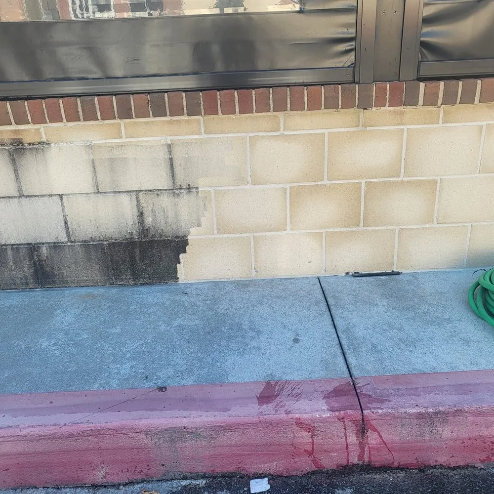 Professional yard cleanup service in Tampa Bay, FL by Atl Landscaping