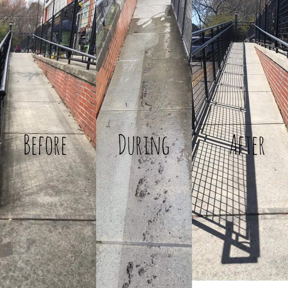 Professional yard cleanup service in Tampa Bay, FL - Atl Landscaping