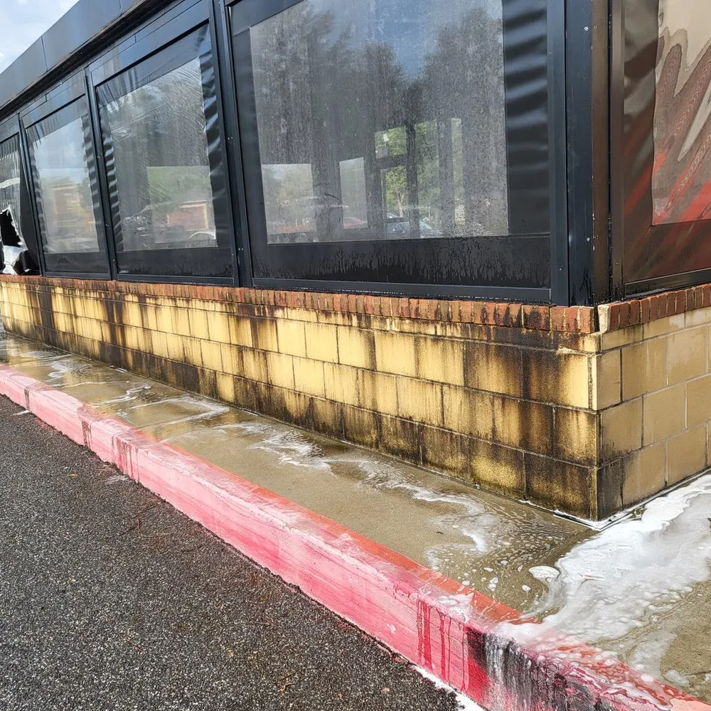 Affordable landscape installation for year-round maintenance in Tampa Bay, FL by Atl Landscaping