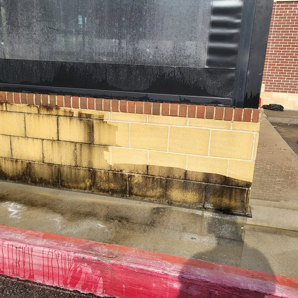 Professional yard maintenance in Tampa Bay, FL - Atl Landscaping