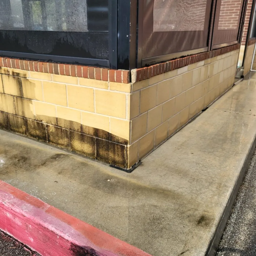 Custom landscaping services experts serving Tampa Bay, FL - Atl Landscaping