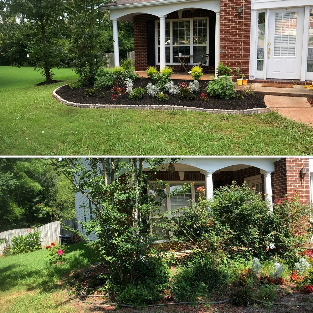 Professional garden landscaping experts serving Tampa Bay, FL - Atl Landscaping