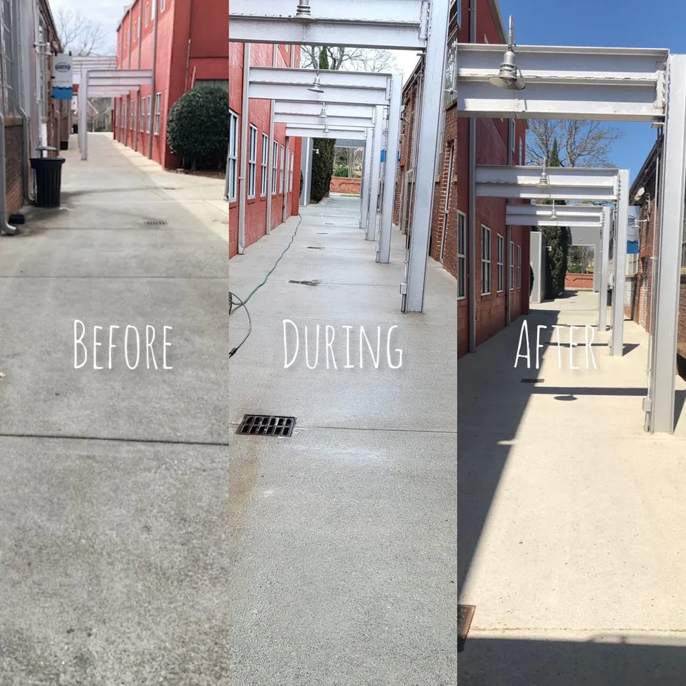 Professional residential landscaping experts serving Tampa Bay, FL - Atl Landscaping