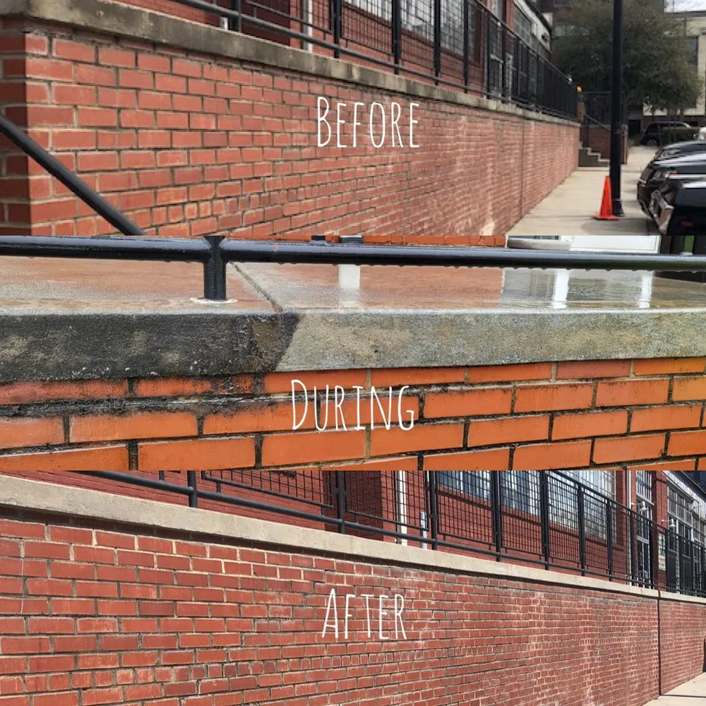 Custom lawn care service for residential properties in Tampa Bay, FL by Atl Landscaping