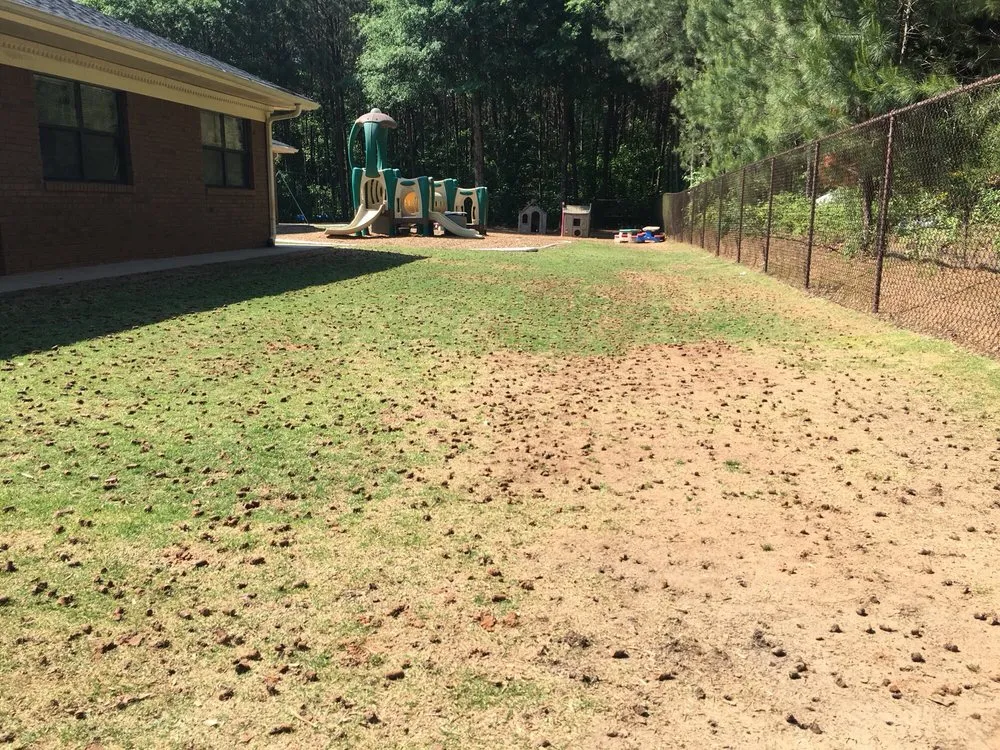 Reliable lawn mowing service in Cumming, GA by Atlanta Area Aeration
