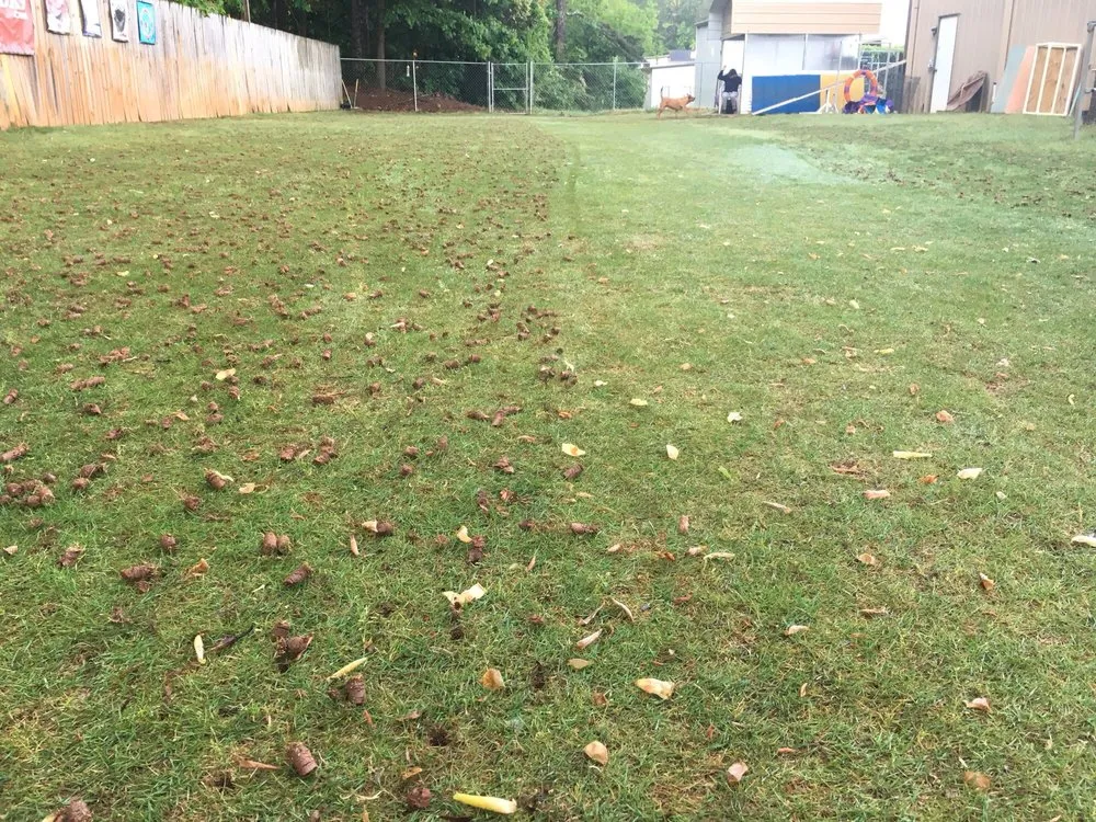 Affordable yard maintenance experts serving Cumming, GA - Atlanta Area Aeration
