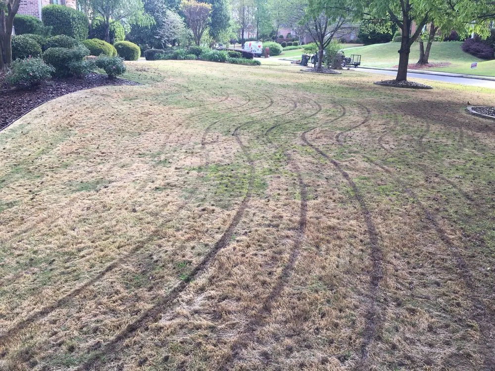 Affordable garden landscaping for homes across Cumming, GA - Atlanta Area Aeration