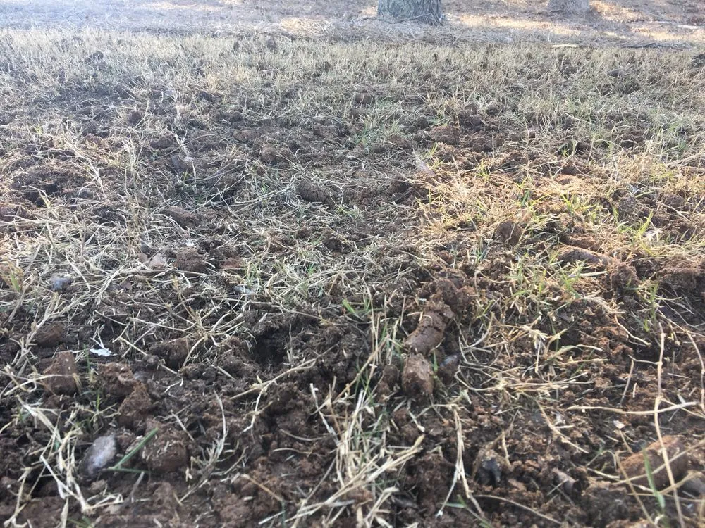 Professional lawn mowing service experts serving Cumming, GA - Atlanta Area Aeration