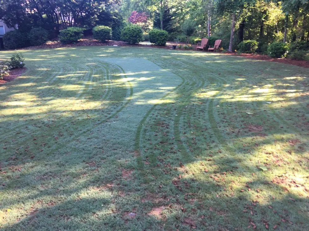 Top-rated yard cleanup service in Cumming, GA - Atlanta Area Aeration