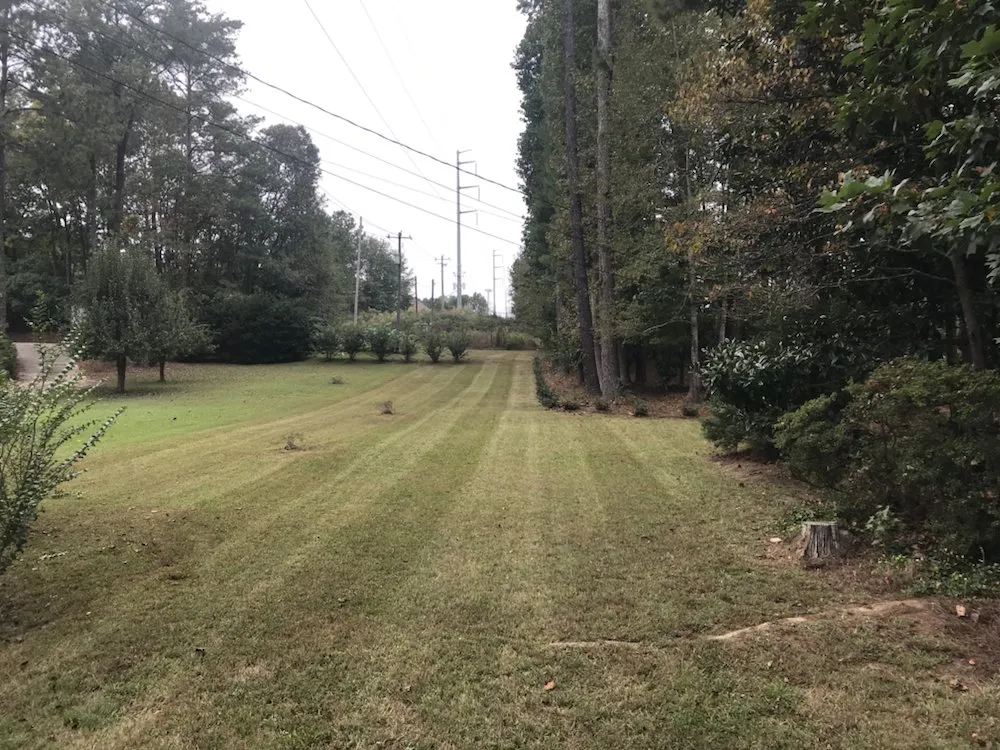 Expert landscape installation for outdoor upgrades across Stone Mountain, GA - Atlanta Community