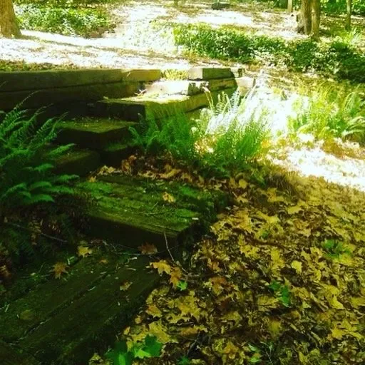 Expert yard maintenance for outdoor upgrades across Atlanta, GA - Atlanta Drainage Professionals