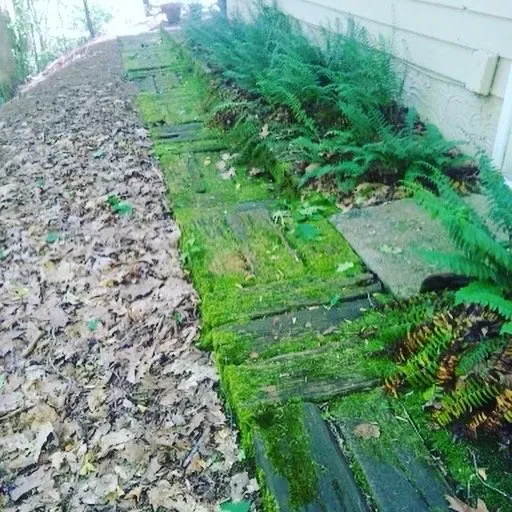 Professional yard cleanup service experts serving Atlanta, GA - Atlanta Drainage Professionals