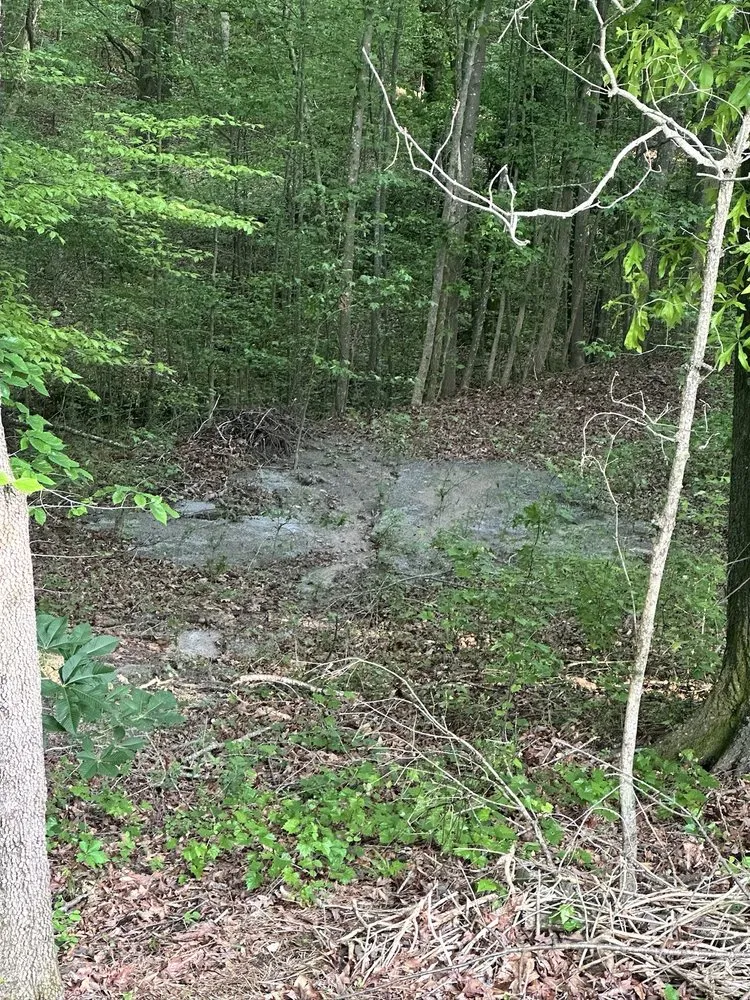 Top-rated yard maintenance for year-round maintenance across Buford, GA - Atlanta Dreamscapes