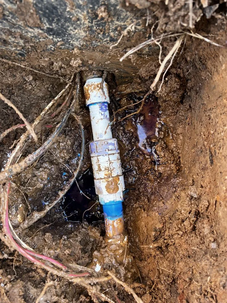 Custom landscaping services in Lawrenceville, GA by Atlanta Irrigation