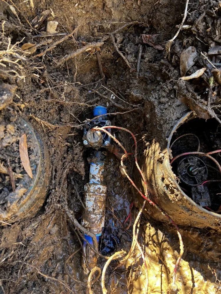 Top-rated yard cleanup service in Lawrenceville, GA by Atlanta Irrigation