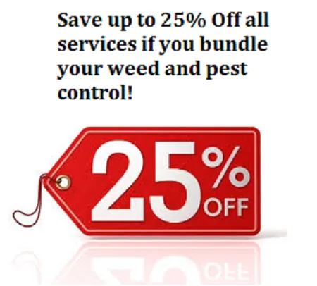 Trusted outdoor landscaping in Dawsonville, GA - Atlanta Landscape and Fertilization