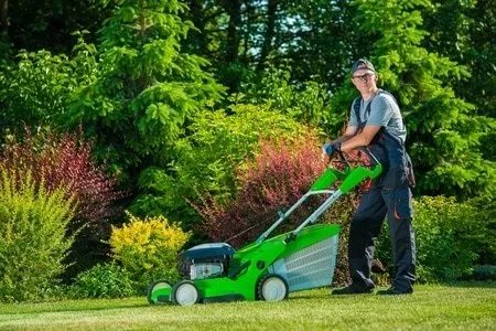 Local lawn care service experts serving Dawsonville, GA - Atlanta Landscape and Fertilization