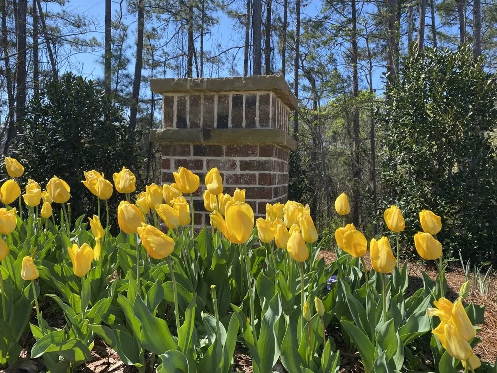 Trusted landscape design experts serving Buford, GA - Atlanta Landscape Group