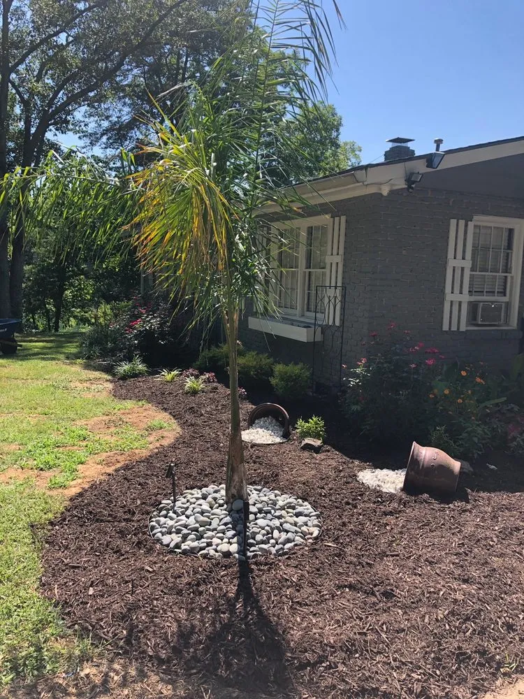 Reliable yard cleanup service for outdoor upgrades across Gainesville, GA - Atlanta Landscaping Matters