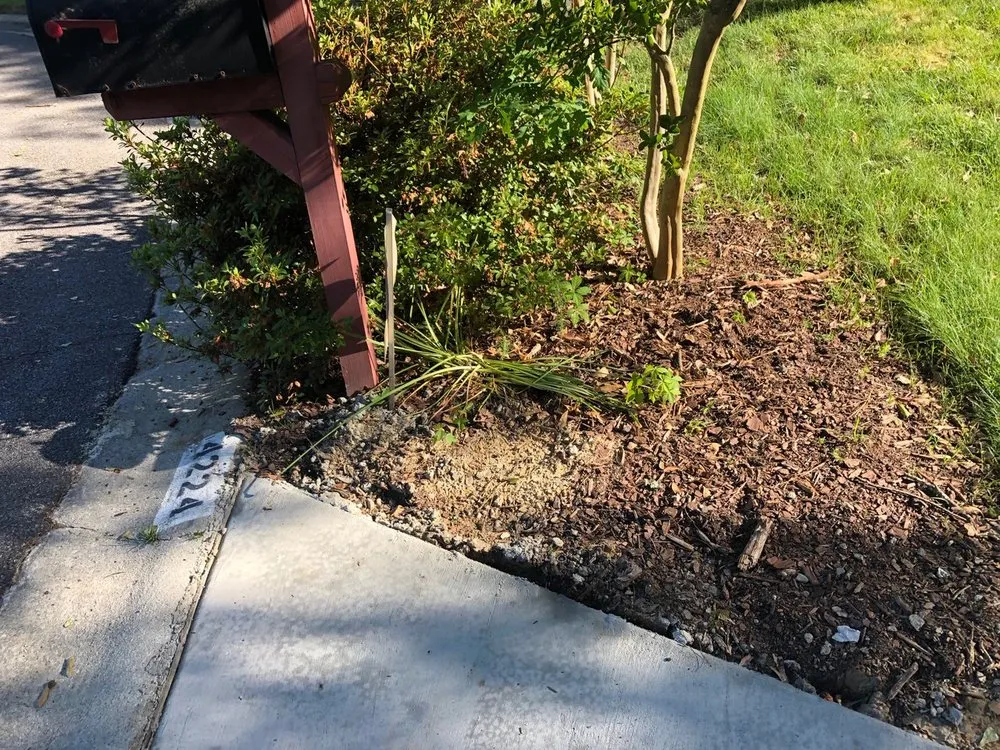 Local yard maintenance in Gainesville, GA - Atlanta Landscaping Matters