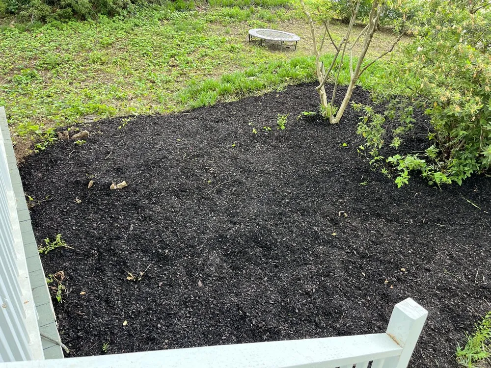 Expert yard cleanup service experts serving Lawrenceville, GA - Atlanta Lawn Masters