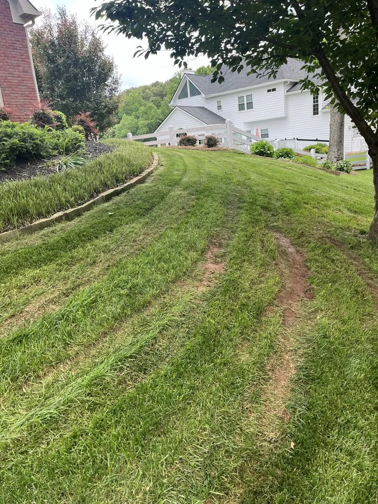 Affordable residential landscaping with custom design in Lawrenceville, GA by Atlanta Lawn Masters