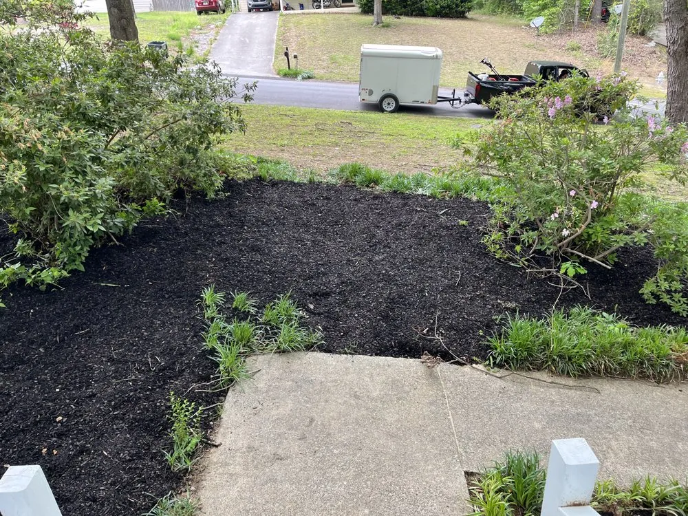Professional yard cleanup service near you in Lawrenceville, GA by Atlanta Lawn Masters