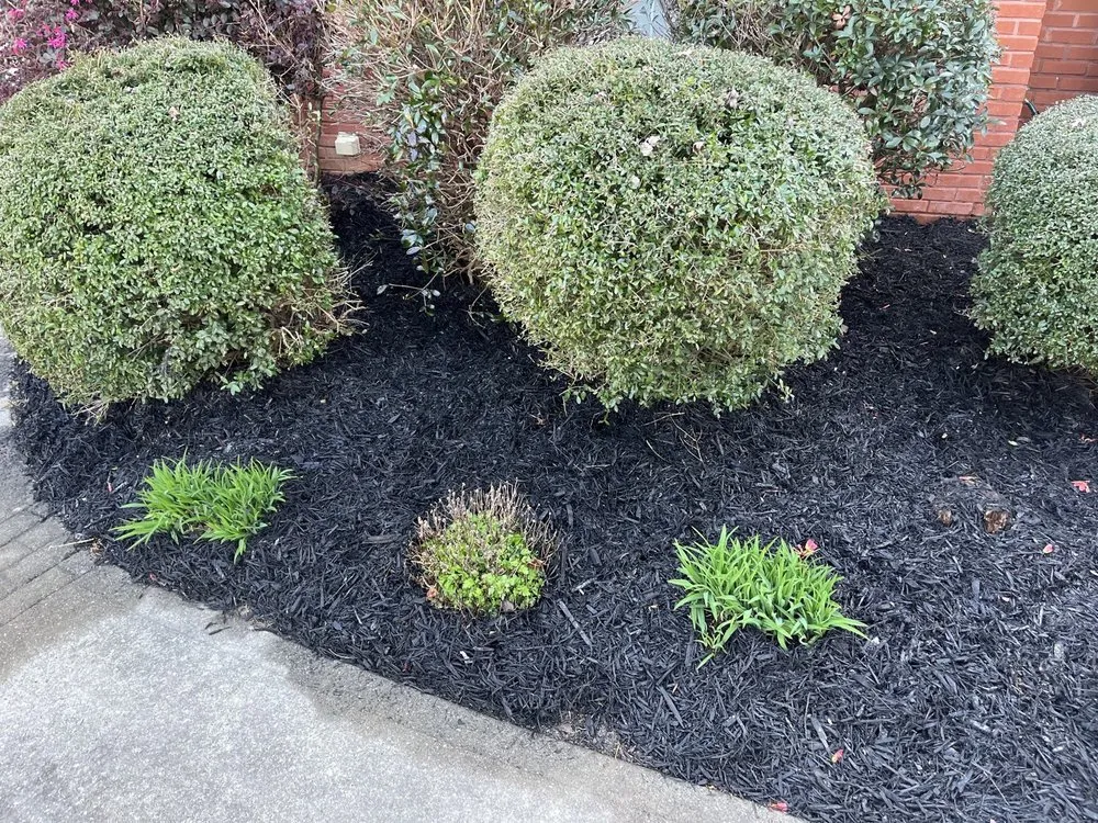 Reliable garden landscaping with custom design across Lawrenceville, GA - Atlanta Lawn Masters