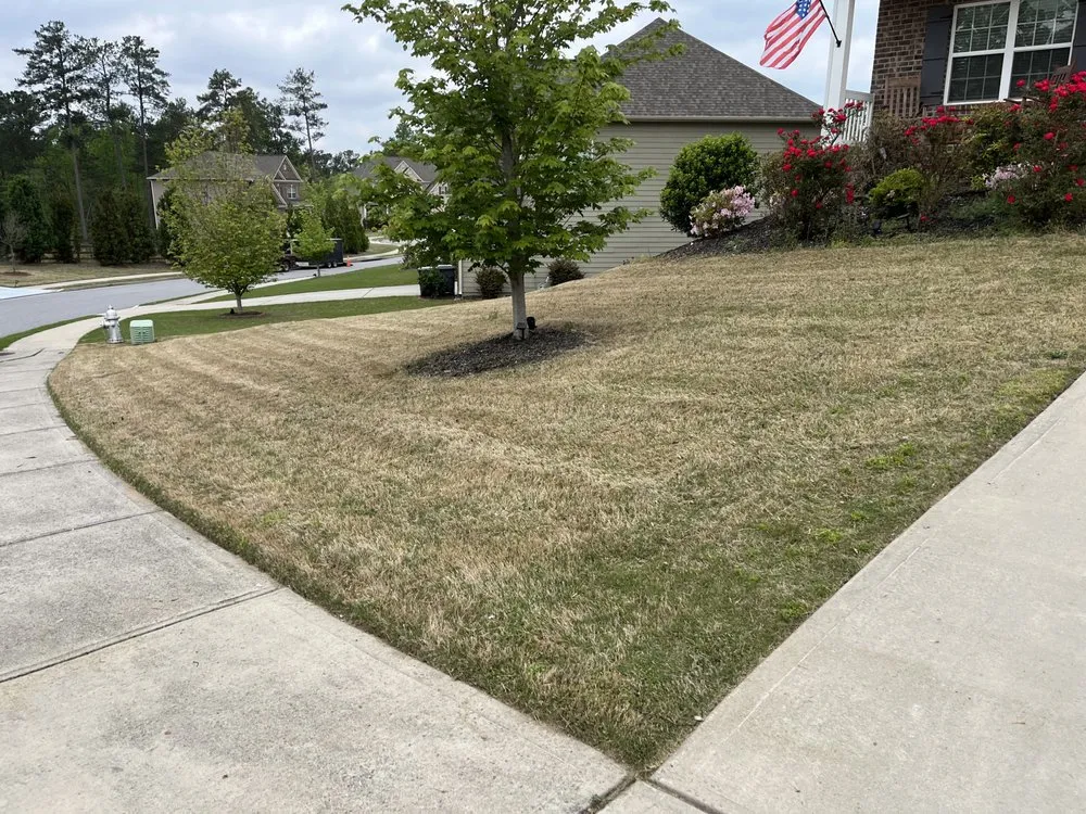 Local landscape design for beautiful yards in Lawrenceville, GA by Atlanta Lawn Masters