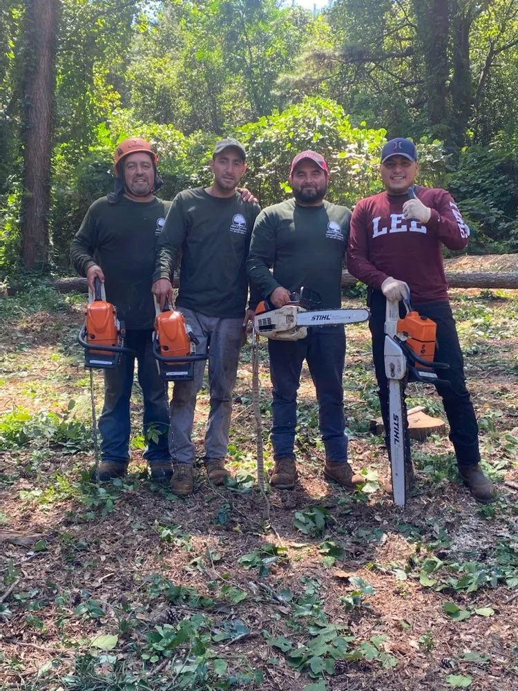 Custom landscape installation near you in Marietta, GA by Atlanta R Tree Service and Landscaping Professional