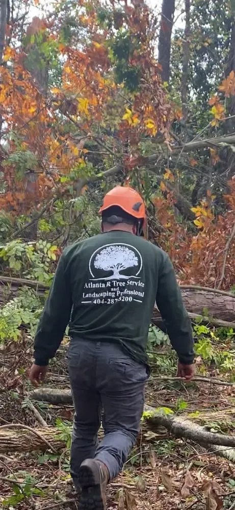 Custom outdoor landscaping in Marietta, GA - Atlanta R Tree Service and Landscaping Professional