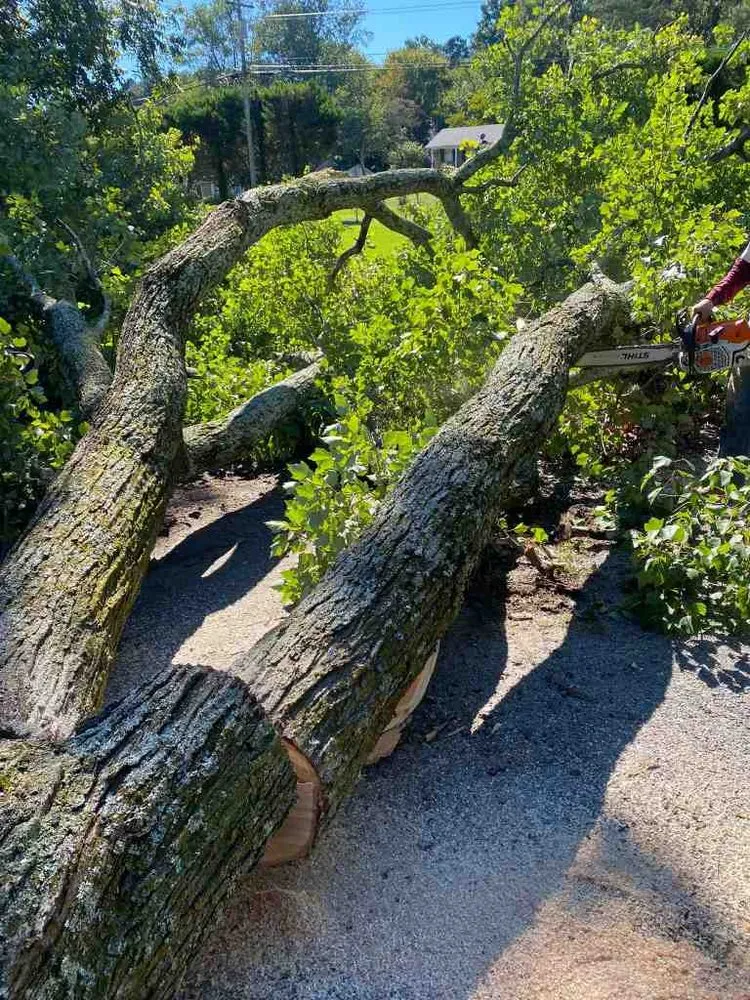 Top-rated landscape design experts serving Marietta, GA - Atlanta R Tree Service and Landscaping Professional
