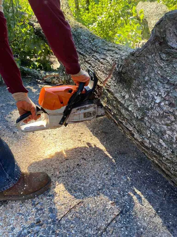 Expert yard maintenance for beautiful yards in Marietta, GA by Atlanta R Tree Service and Landscaping Professional