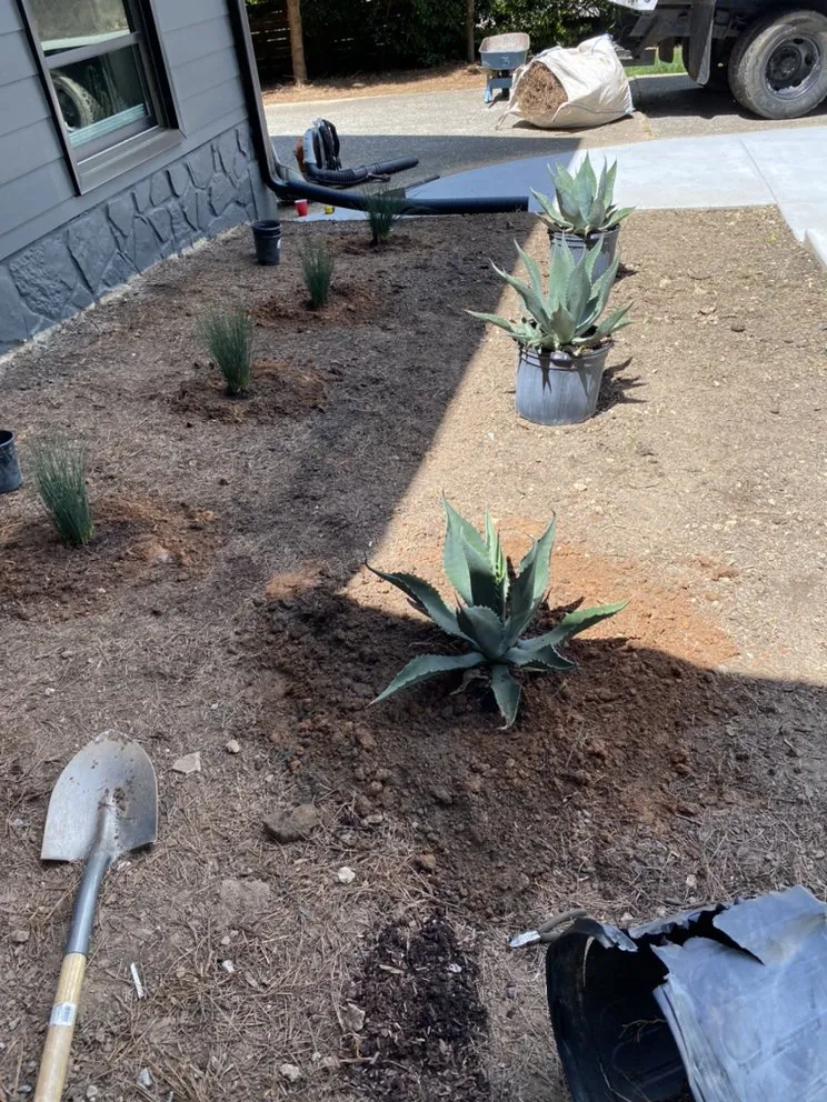 Local yard maintenance in Marietta, GA by Atlanta R Tree Service and Landscaping Professional