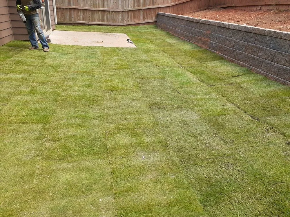 Custom landscaping services for year-round maintenance across Marietta, GA - Atlanta Sod and Irrigation