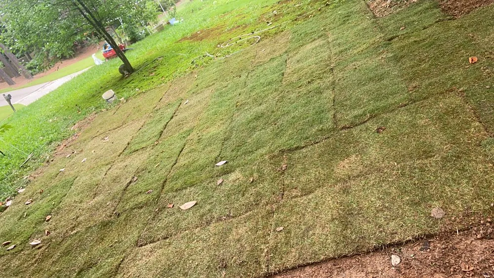 Local yard maintenance in Marietta, GA by Atlanta Sod and Irrigation