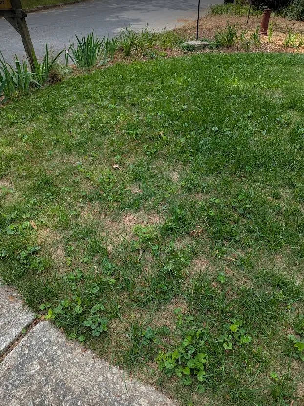 Top-rated landscape installation experts serving Conyers, GA - Atlanta Sod Company