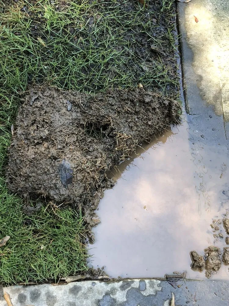 Professional yard maintenance for beautiful yards across Conyers, GA - Atlanta Sod Company