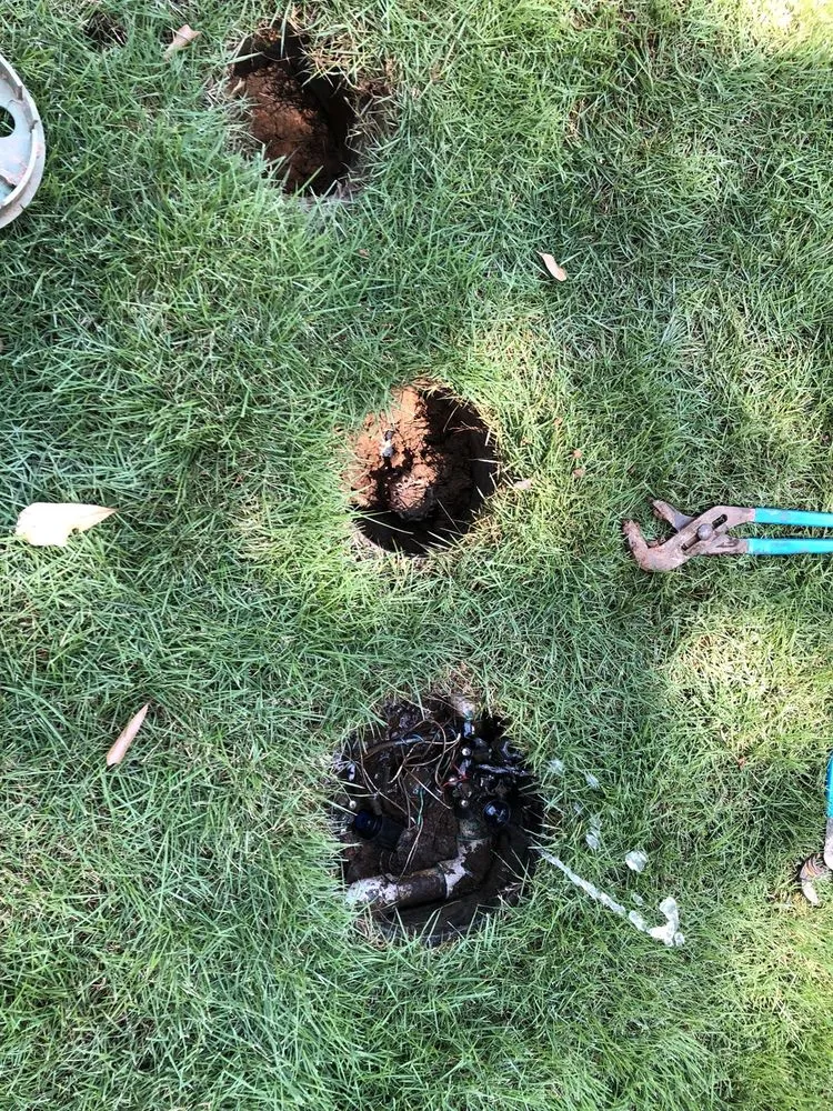 Custom yard cleanup service in Conyers, GA by Atlanta Sod Company