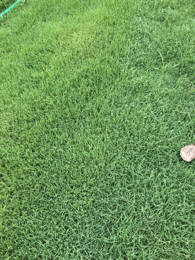 Custom outdoor landscaping in Conyers, GA by Atlanta Sod Company