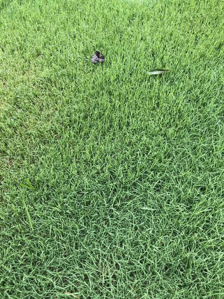 Trusted landscape design experts serving Conyers, GA - Atlanta Sod Company