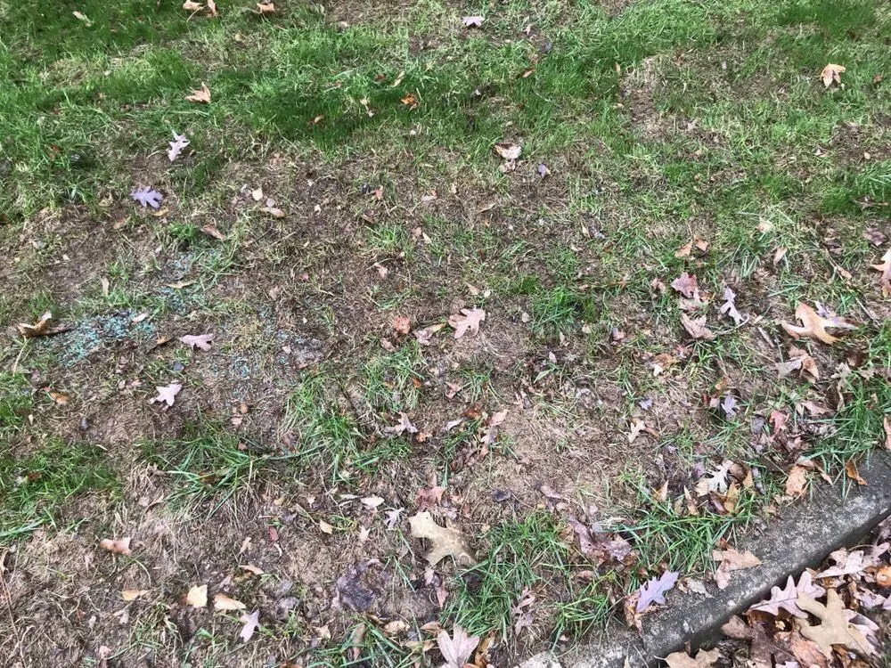 Affordable landscape design in Conyers, GA - Atlanta Sod Company