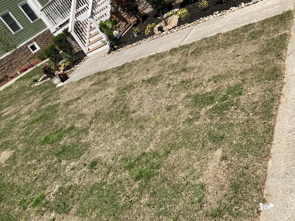 Local residential landscaping in Conyers, GA - Atlanta Sod Company