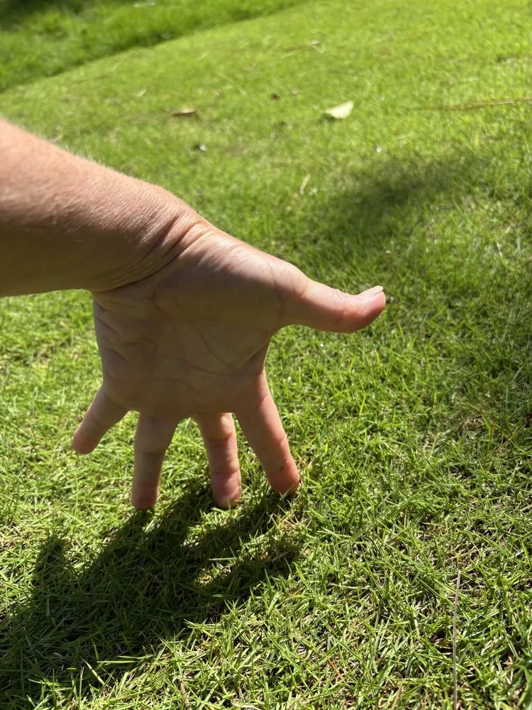 Reliable garden landscaping for year-round maintenance in Conyers, GA by Atlanta Sod Company