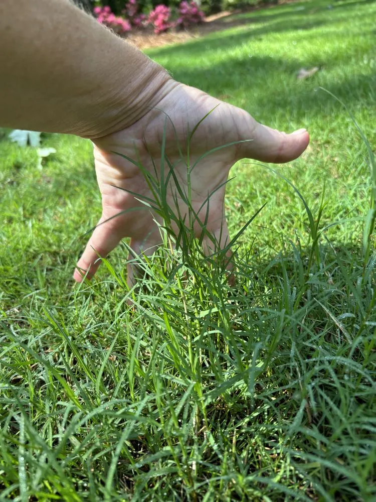 Local landscaping services in Conyers, GA - Atlanta Sod Company