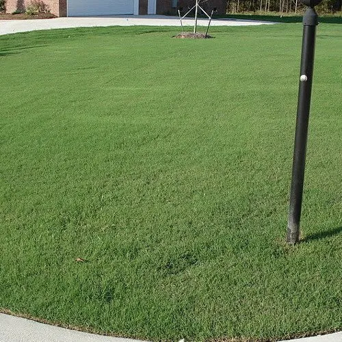 Expert residential landscaping with custom design across Bishop, GA - Atlanta Sod Farms