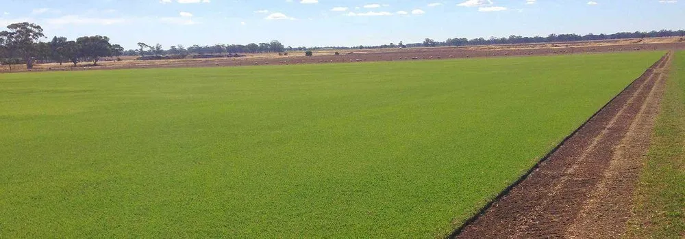 Trusted lawn mowing service for homes in Bishop, GA by Atlanta Sod Farms