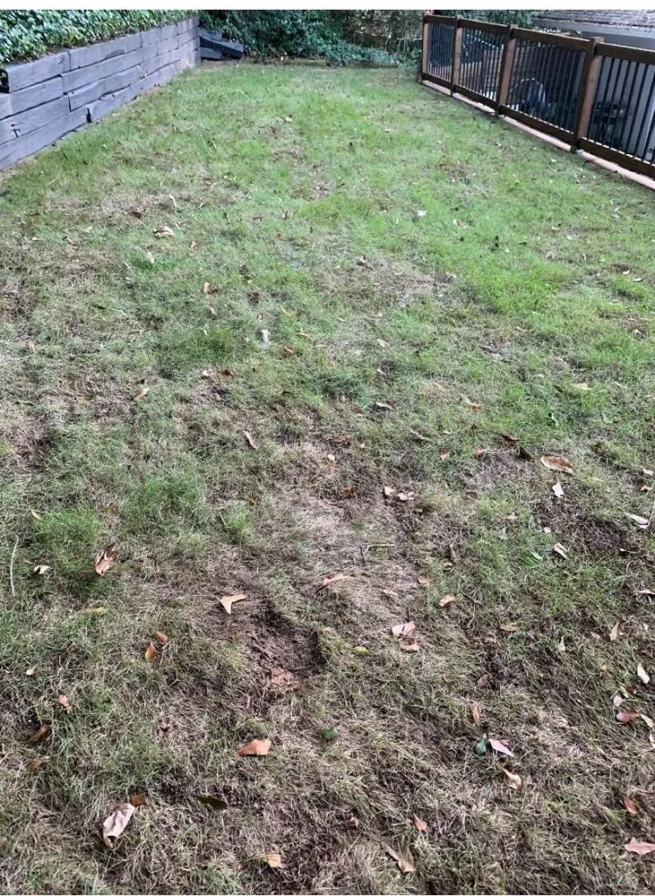 Professional landscape design for homes in Clarkston, GA by Atlanta Sod Solutions