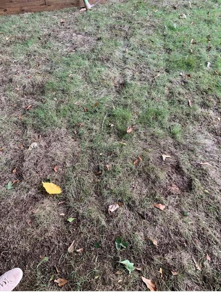 Trusted lawn care service for homes across Clarkston, GA - Atlanta Sod Solutions