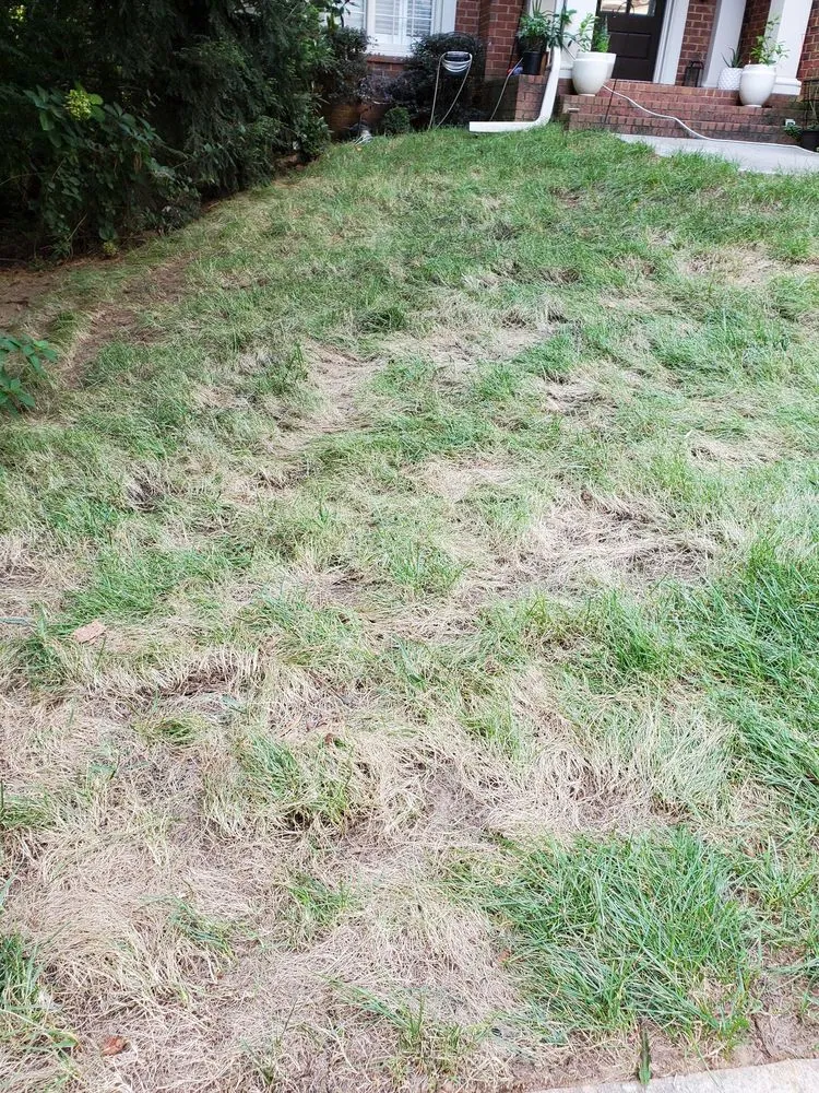 Professional landscape installation with custom design across Clarkston, GA - Atlanta Sod Solutions
